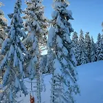 Snowline Flora Apartmán Borovec