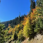 Apartmán Snowline Flora Borovec