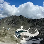 Snowline Flora Borovets