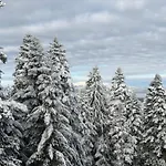 Snowline Flora Apartment