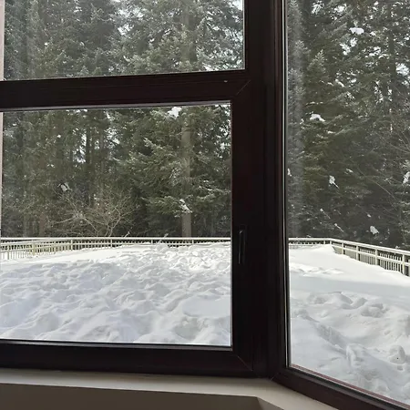 Daire Snowline Flora *