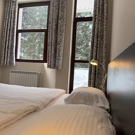 Daire Snowline Flora Borovets