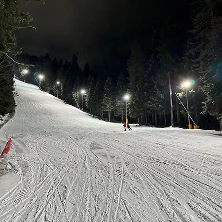Snowline Flora Borovets