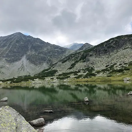 Snowline Flora Appartement *