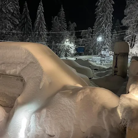 Appartement Snowline Flora *