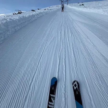 Snowline Flora Daire Borovets