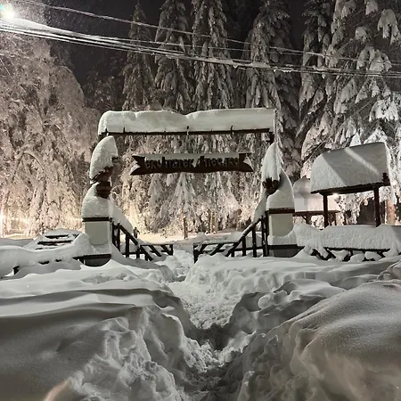 Snowline Flora * Боровец