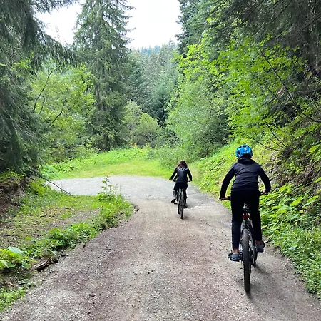 Appartement Snowline Flora *
