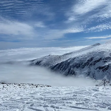 Daire Snowline Flora Borovets