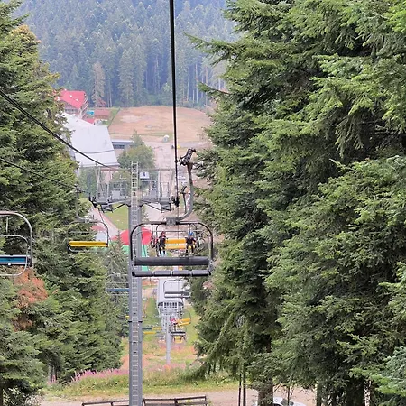 Snowline Flora Боровец