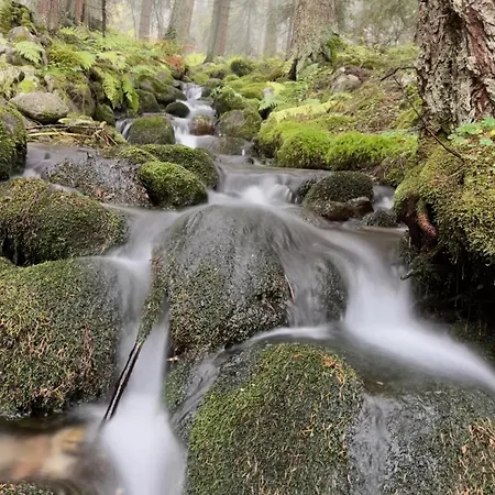 Snowline Flora Апартаменты *