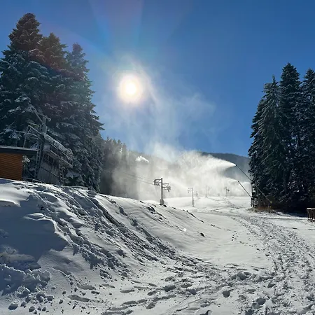 Апартаменты Snowline Flora *