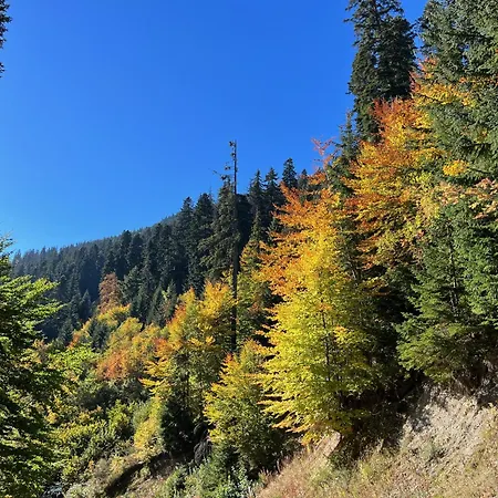 Daire Snowline Flora Borovets