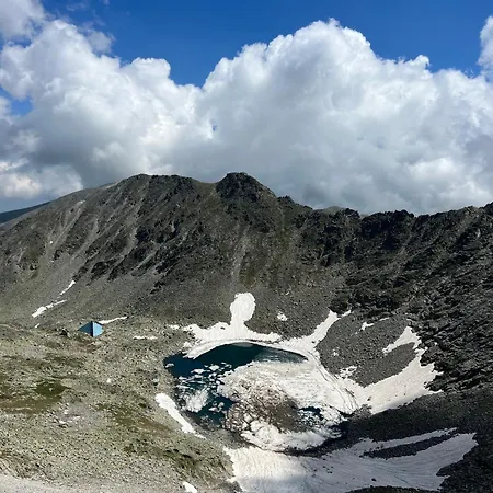 Snowline Flora Borovets