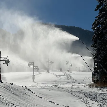 Snowline Flora Appartement