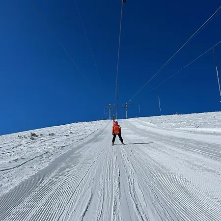 Appartement Snowline Flora