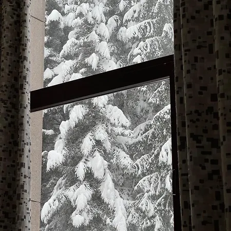 Snowline Flora 아파트 보로베츠