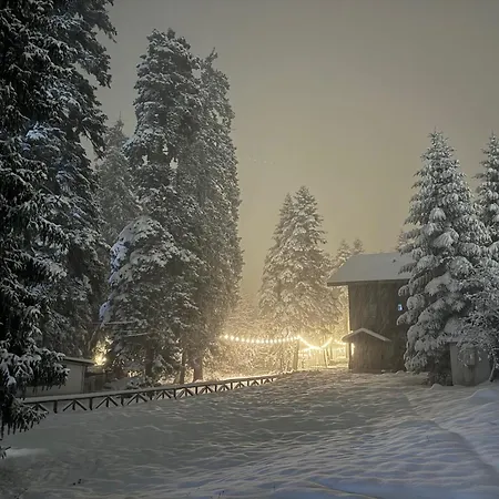 Snowline Flora
