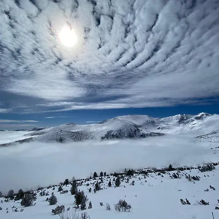 Snowline Flora Апартаменты