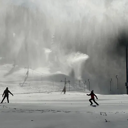 Appartement Snowline Flora
