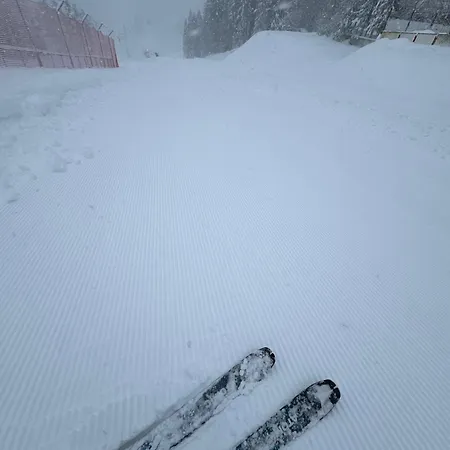 Snowline Flora Appartement *