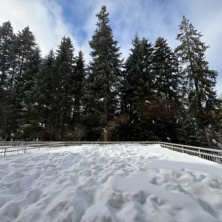 Snowline Flora Appartement *