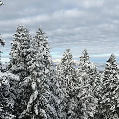 Snowline Flora Appartement