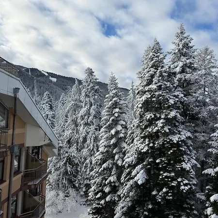 Snowline Flora * Borovets
