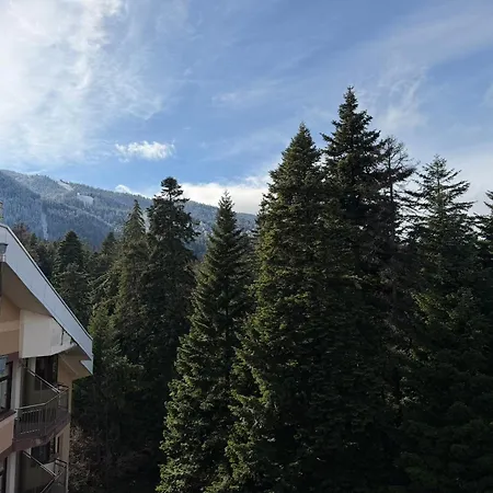 Snowline Flora Appartement *