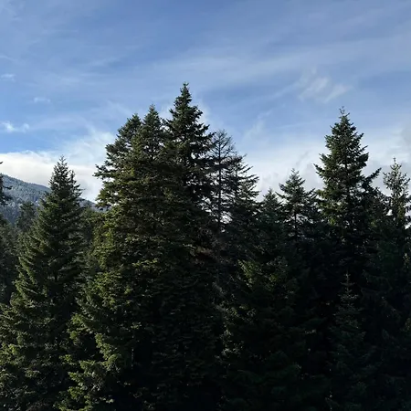 Snowline Flora