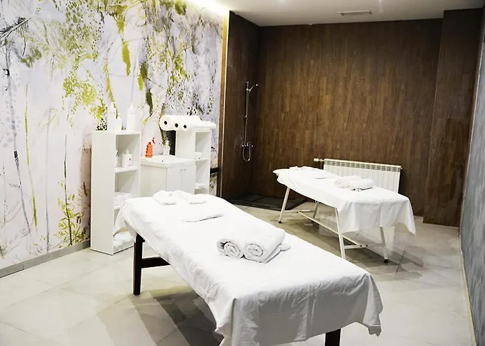 Snowline Flora Apartament Borowec