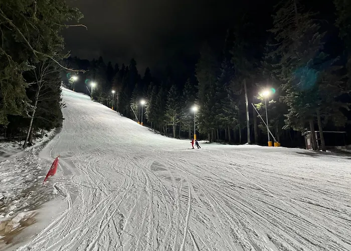 Snowline Flora Borovets