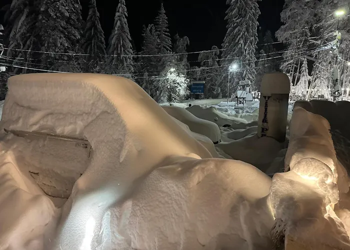 Appartement Snowline Flora *