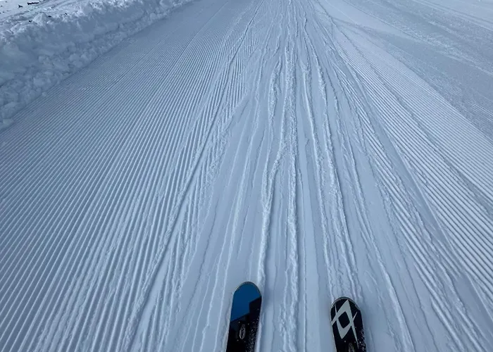 Snowline Flora Apartament Borowec