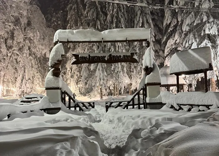 Snowline Flora * Borovets