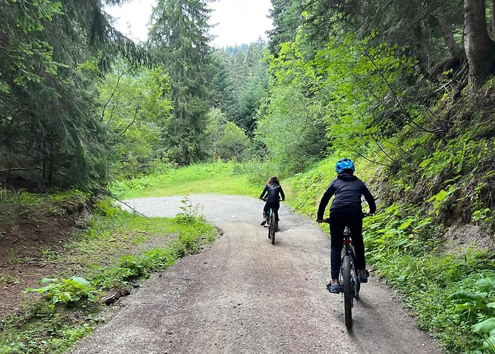 Apartament Snowline Flora *