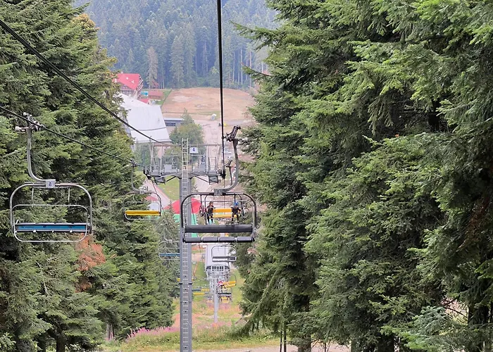 Snowline Flora Borovets