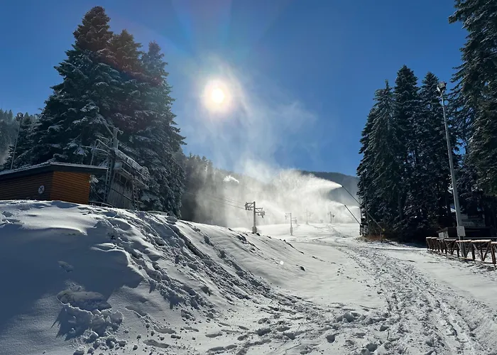 Appartamento Snowline Flora *