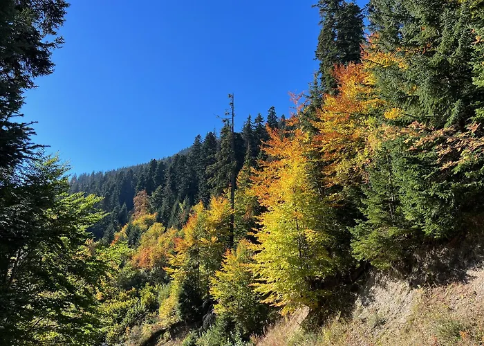 Daire Snowline Flora Borovets