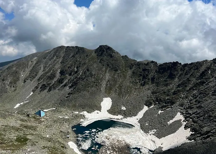 Snowline Flora Borovets