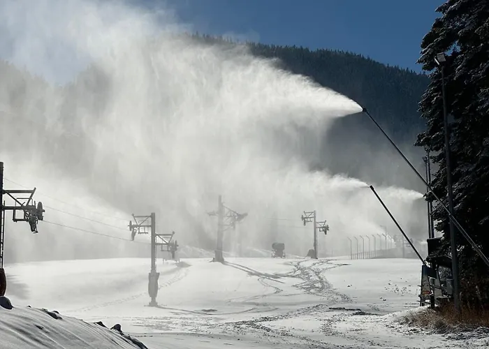 Snowline Flora Appartement