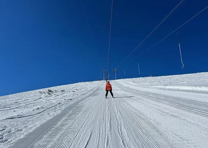 Apartament Snowline Flora