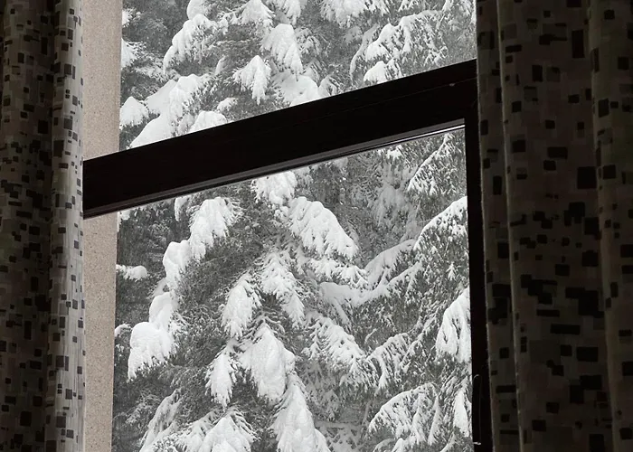 Snowline Flora Daire Borovets