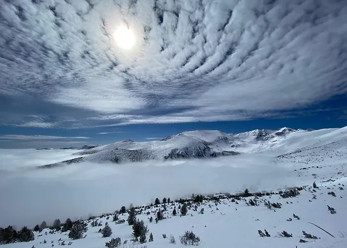 Snowline Flora Daire