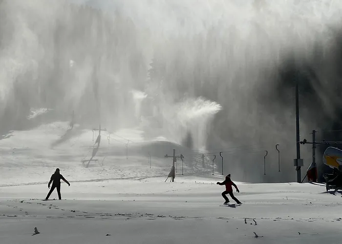 Apartament Snowline Flora