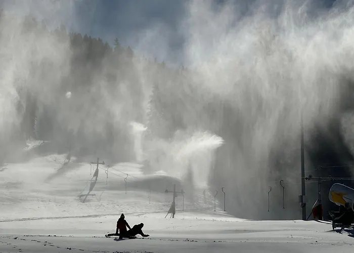 Snowline Flora Appartamento