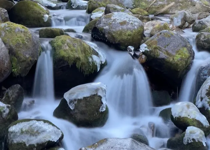 Apartament Snowline Flora Borowec