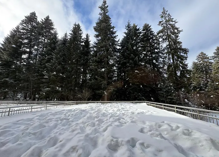 Snowline Flora Apartament *