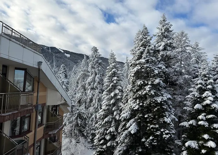 Snowline Flora * Borovets