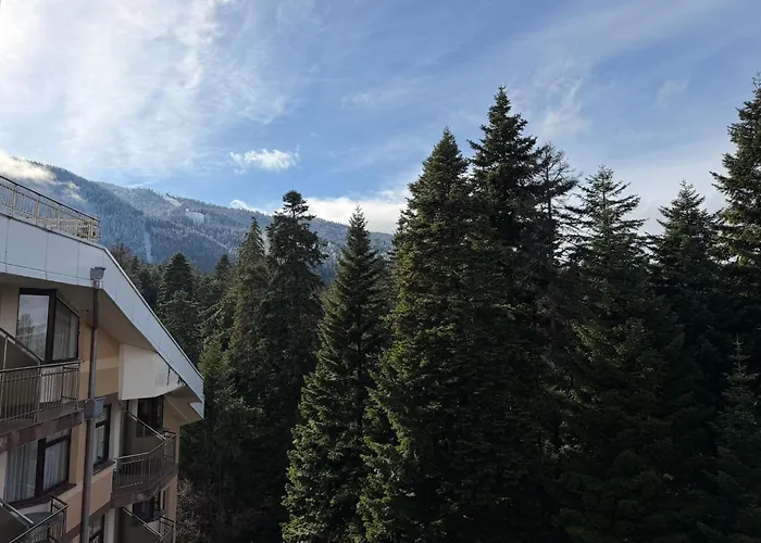 Snowline Flora Appartement *